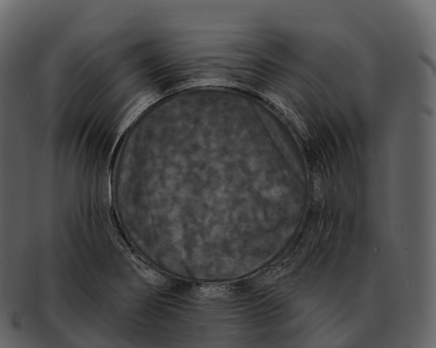 X0000092321274200710051250