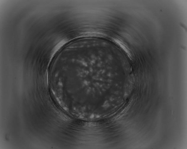X0000092321275200710051250