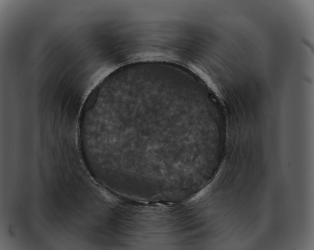 X0000092321277200710051250