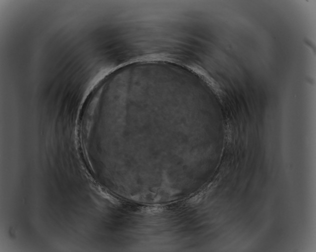 X0000092321278200710051250