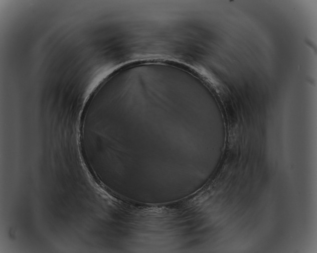 X0000092321279200710051250