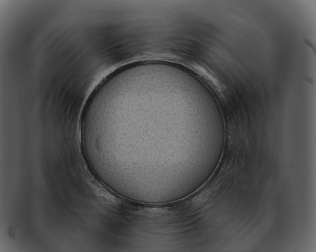 X0000092321280200710051250