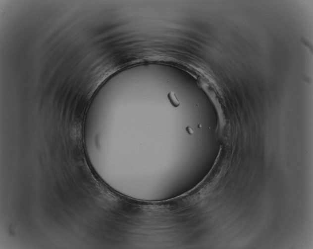 X0000092321281200710051250