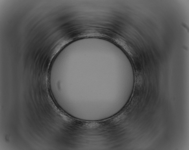 X0000092321282200710051250