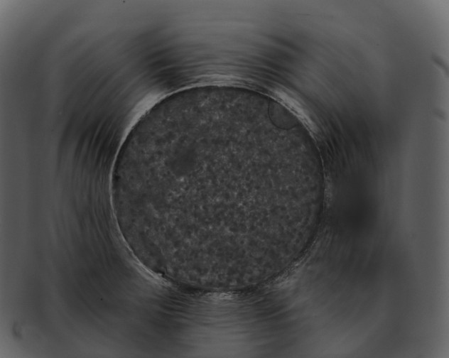 X0000092321283200710051250