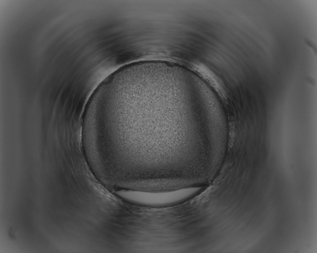 X0000092321284200710051250