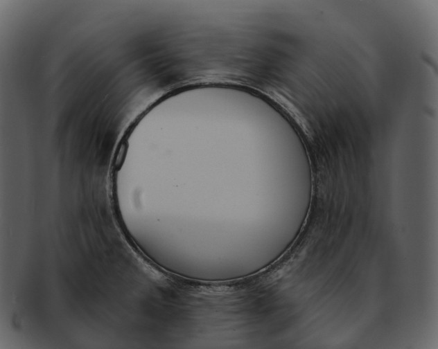 X0000092321285200710051250
