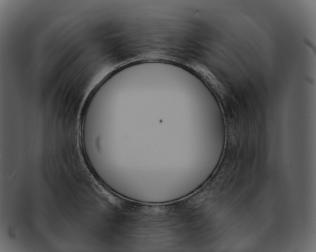 X0000092321286200710051250