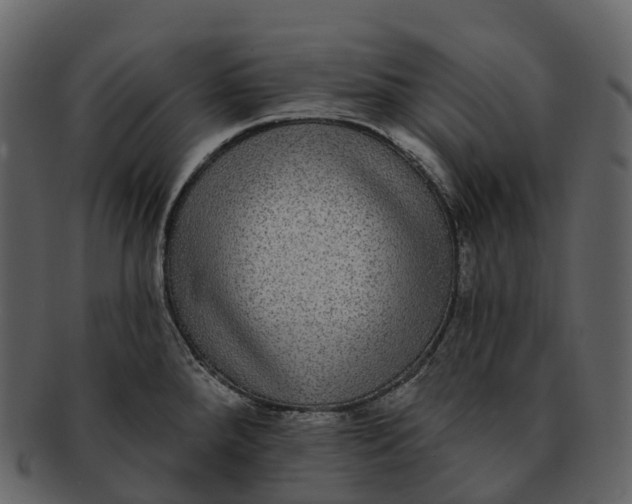X0000092321288200710051250
