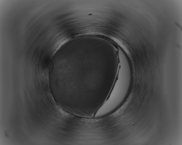 X0000092321289200710051250