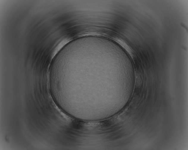 X0000092321290200710051250