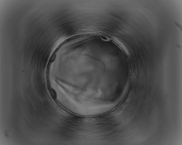 X0000092321291200710051250