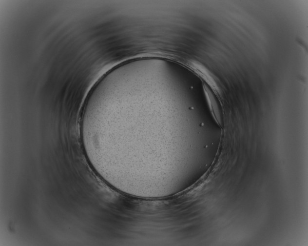 X0000092321292200710051250