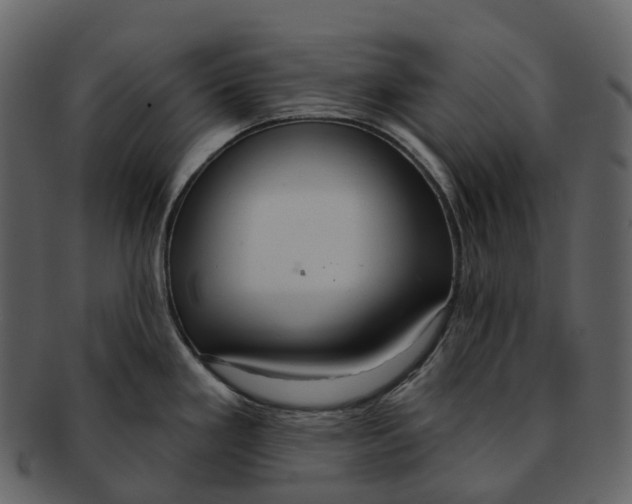 X0000092321293200710051250