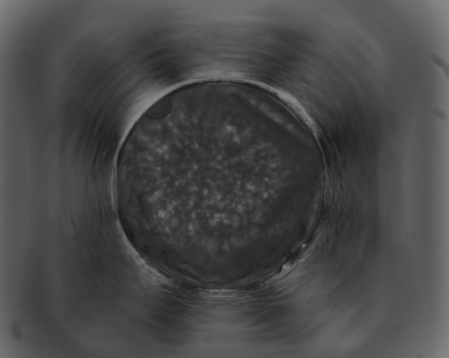 X0000092321295200710051250