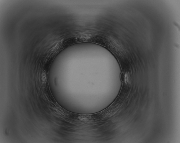 X0000092321299200710051249
