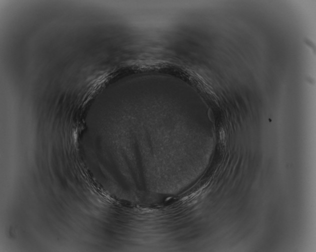 X0000092321300200710051249