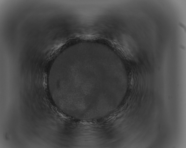 X0000092321301200710051249