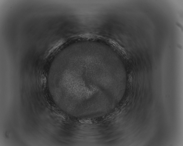 X0000092321302200710051249