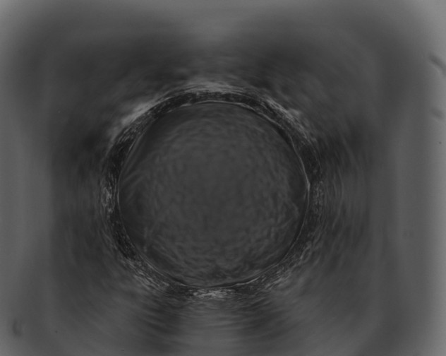 X0000092321303200710051249