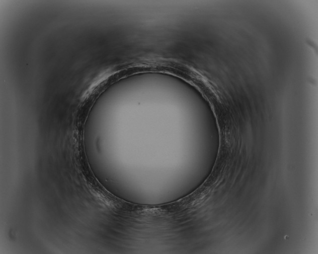 X0000092321304200710051249
