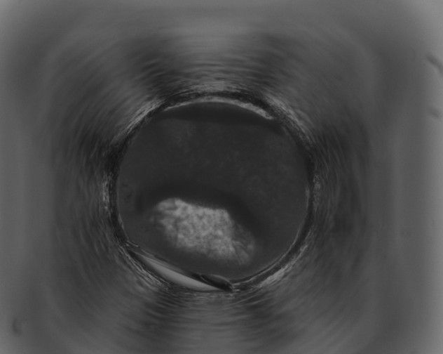 X0000092321305200710051249