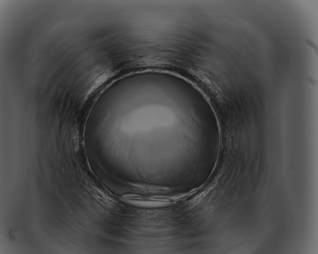 X0000092321306200710051249