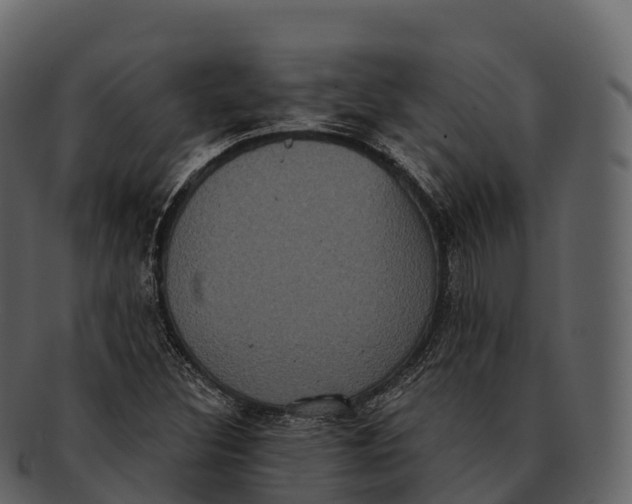X0000092321308200710051249