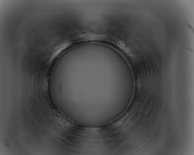 X0000092321309200710051249