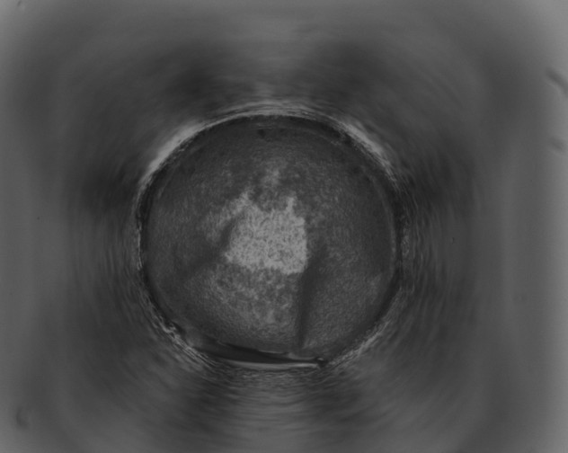 X0000092321310200710051249