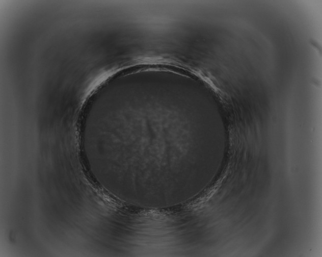 X0000092321311200710051249
