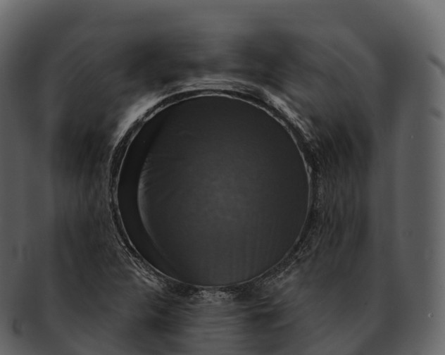X0000092321312200710051249