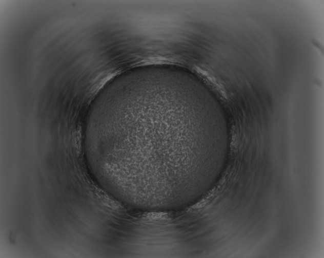 X0000092321313200710051249