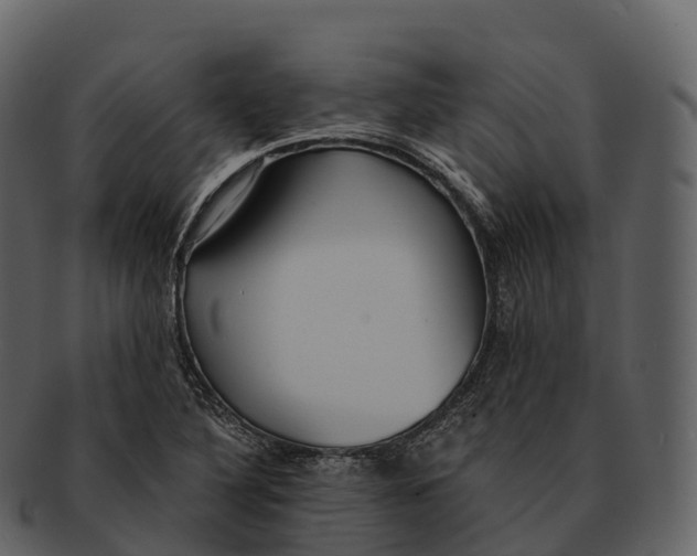 X0000092321316200710051249