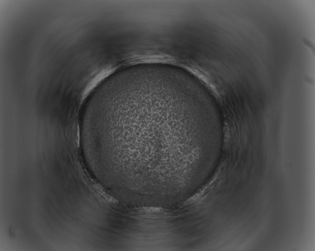 X0000092321317200710051249