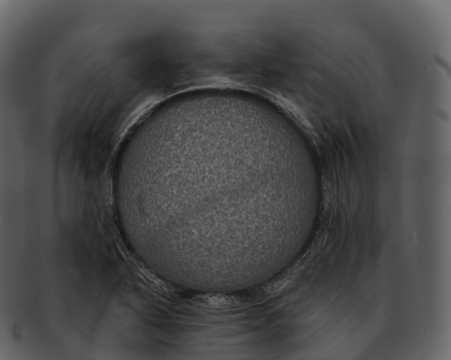 X0000092321318200710051249