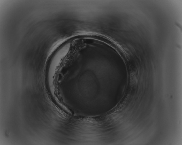 X0000092321319200710051249