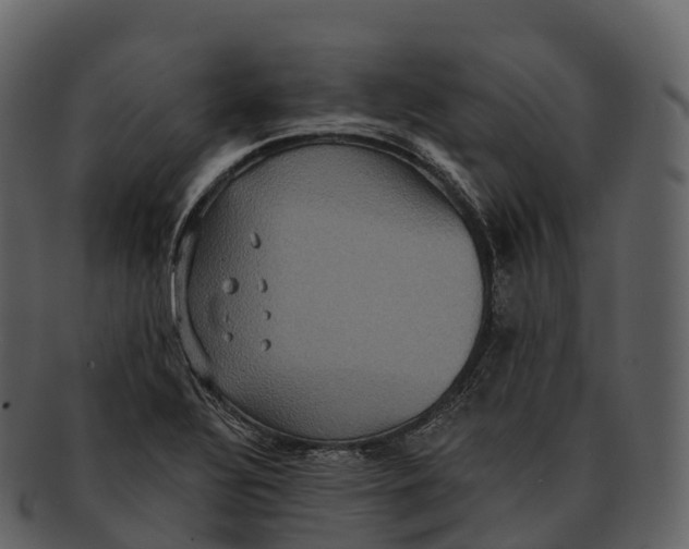 X0000092321320200710051249