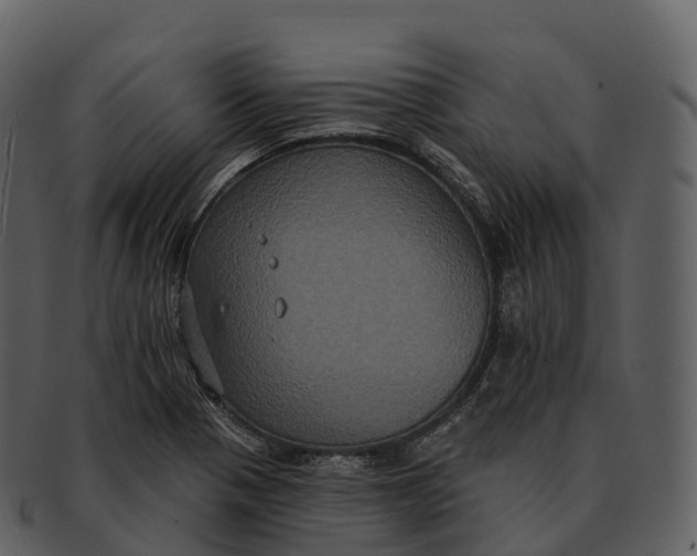 X0000092321321200710051249