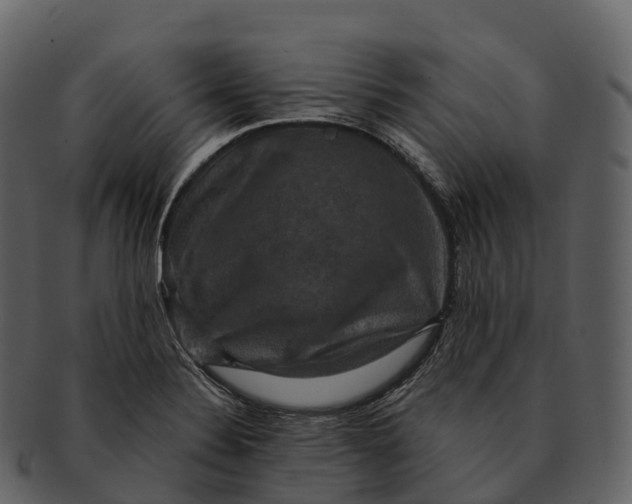 X0000092321324200710051249
