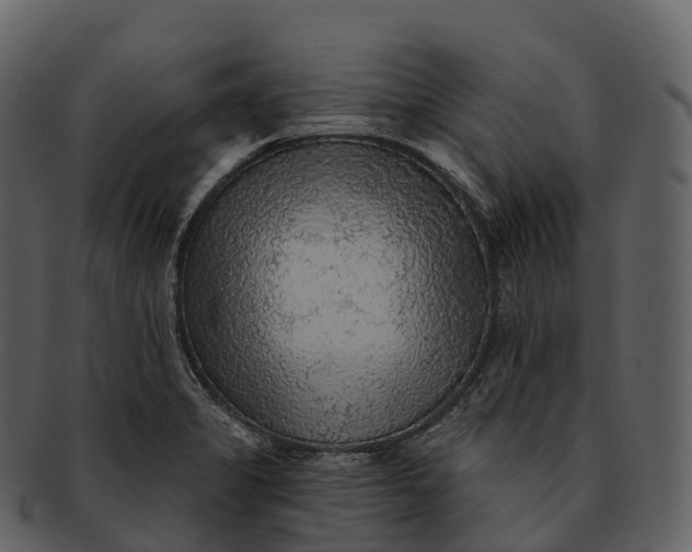 X0000092321325200710051249