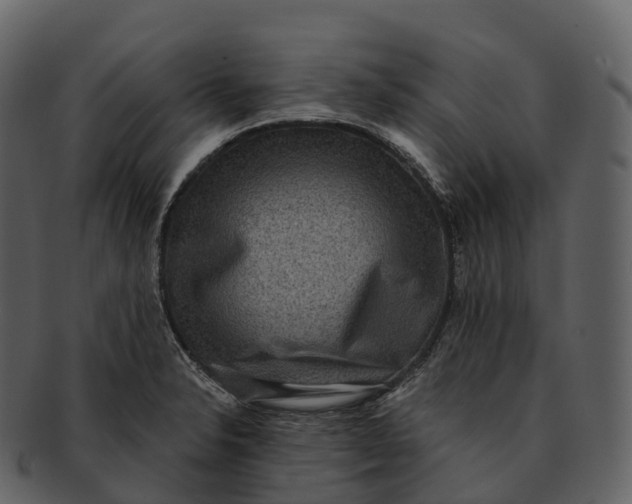 X0000092321326200710051249