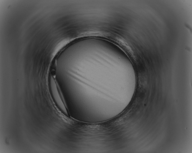 X0000092321328200710051249