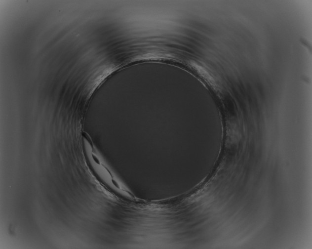 X0000092321329200710051249