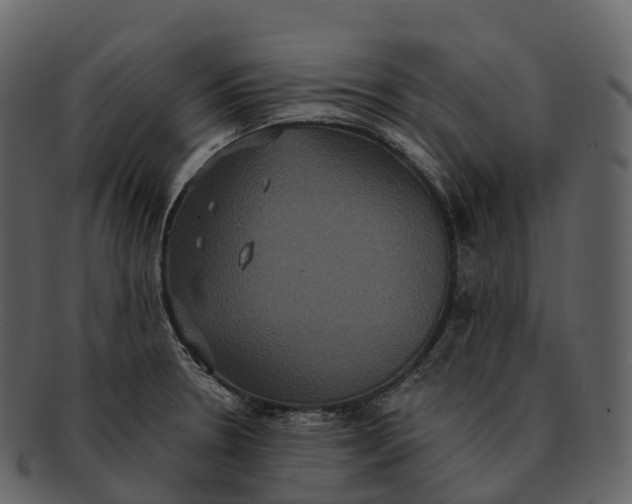 X0000092321330200710051249