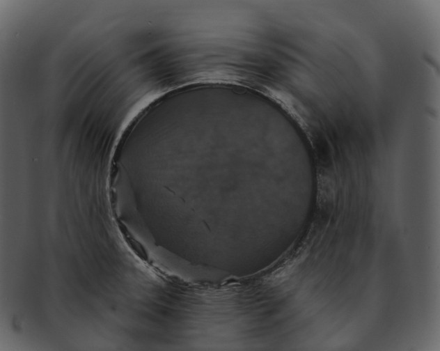 X0000092321331200710051249