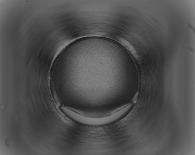 X0000092321332200710051249