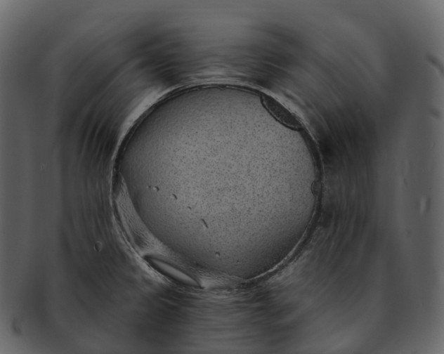 X0000092321333200710051249