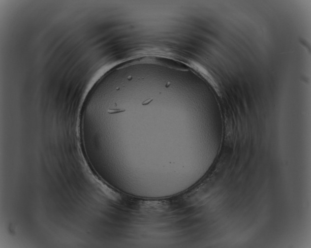 X0000092321339200710051250