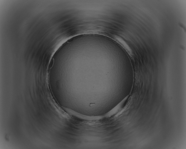 X0000092321340200710051250
